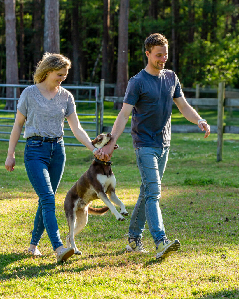 engaged couple playing with their dog in the woods